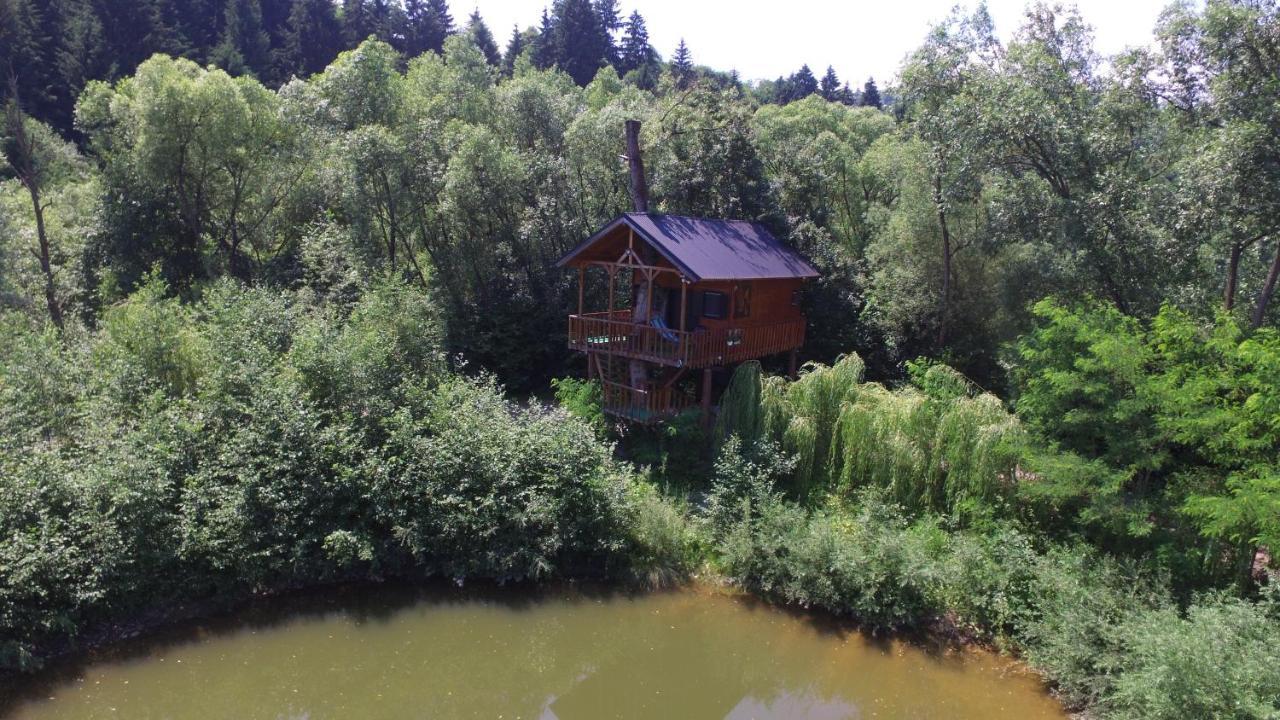 Cuibul Vulturilor - Casuta In Copac Villa Moisei Eksteriør billede