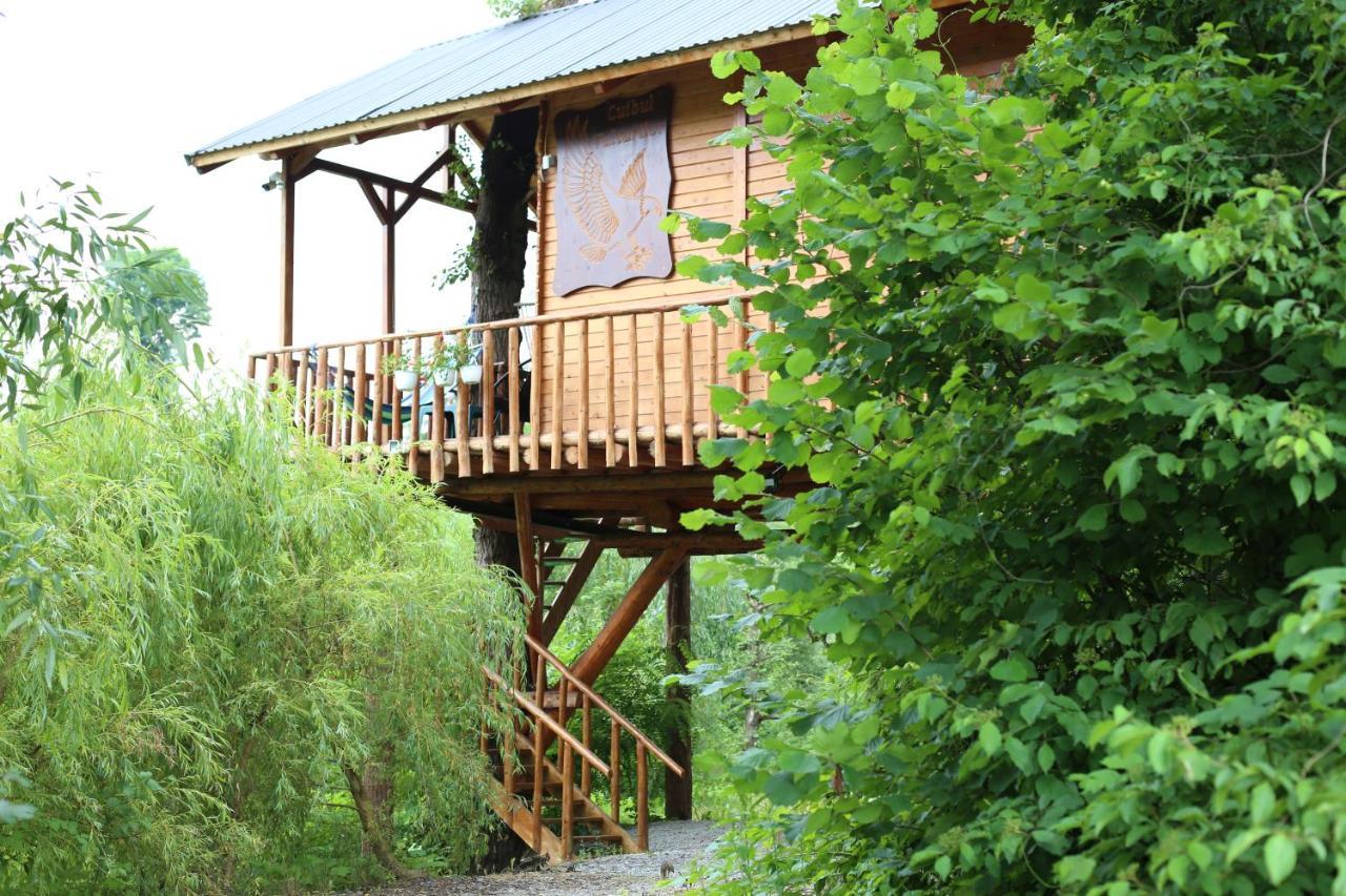 Cuibul Vulturilor - Casuta In Copac Villa Moisei Eksteriør billede